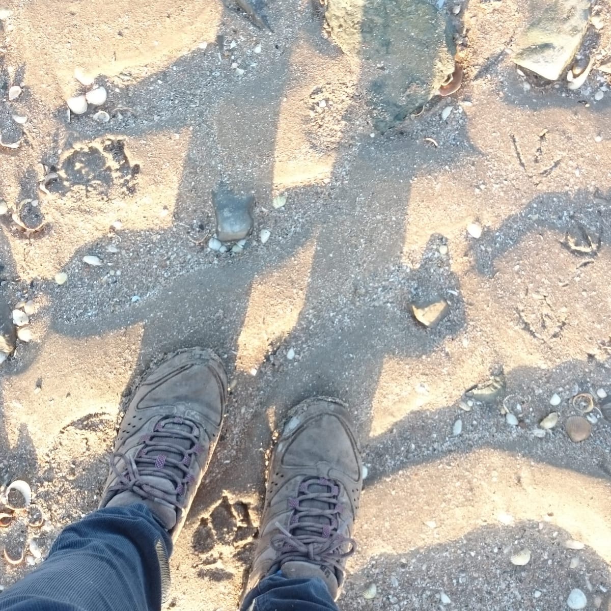A pair of women's feet in walking shoes standing on a sandy beach 